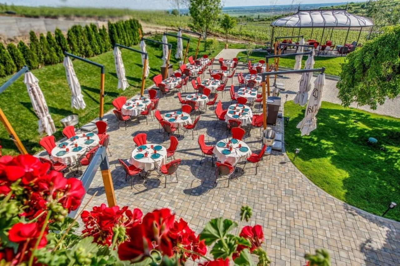 Casa Timis - Wellness & Spa Resort Chitorani Esterno foto Terrace of the restaurant